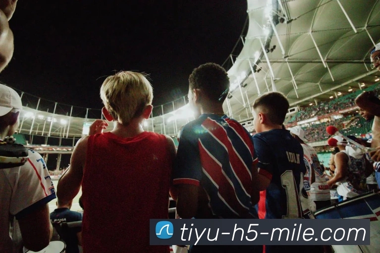 多媒体互动体验