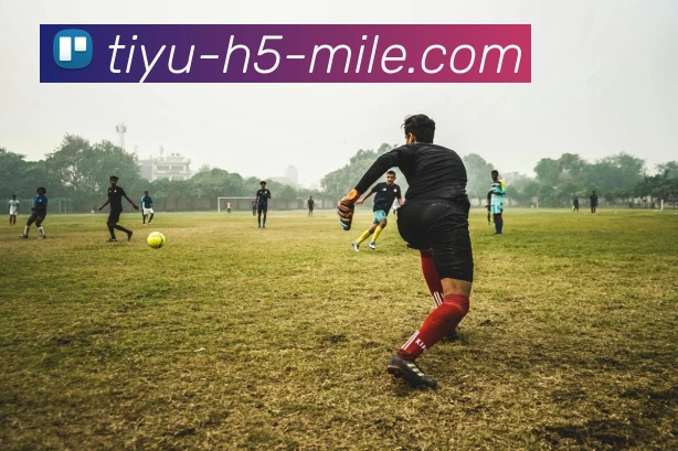 米乐体育APP 高清赛事图